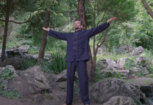 Load image into Gallery viewer, Tai Chi Brighton by Taiji &amp; QiGong Brighton &amp; Croydon Daoyogi.co.uk