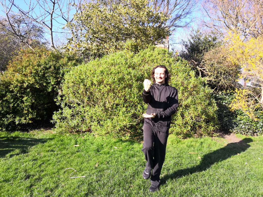 Online One-to-One Taiji, Qi Gong or Meditation